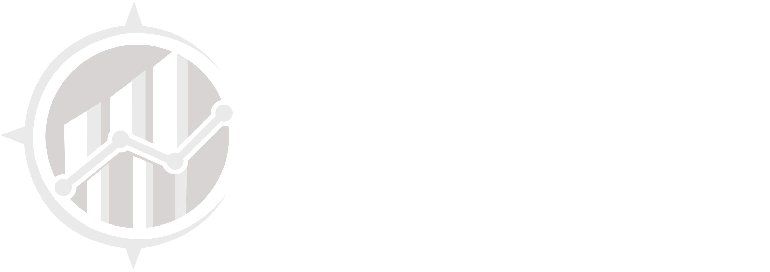 Highmark accountants & Consultants Logo White